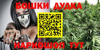 дурь Бердск