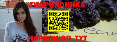 дурь Бердск