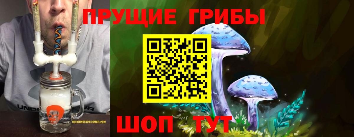 Каменск-Уральский  Псилоцибиновые грибы Magic Shrooms  Псилоцибиновые грибы Psilocybe  Вход с VPN 